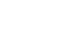 Paludo